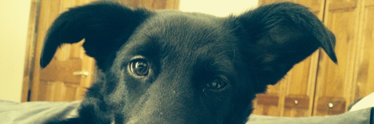 kayzerkel's profile banner image