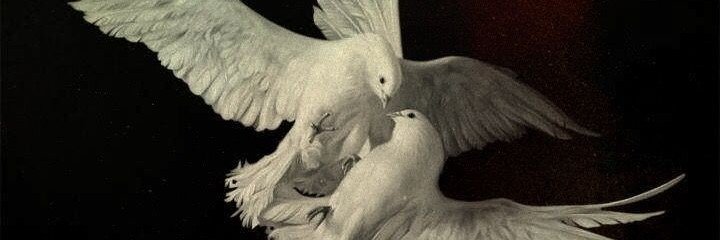 hutanubi's profile banner image