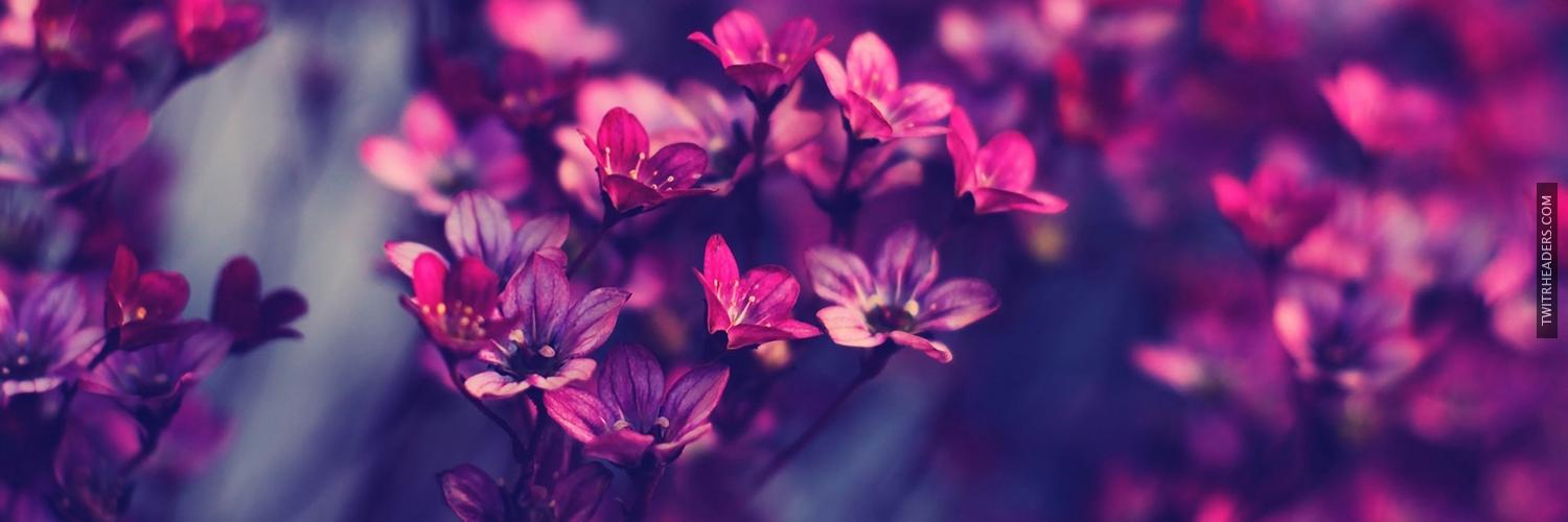 Johanna Mantilla 🌻 banner