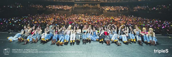 springbunny24 Profile Banner