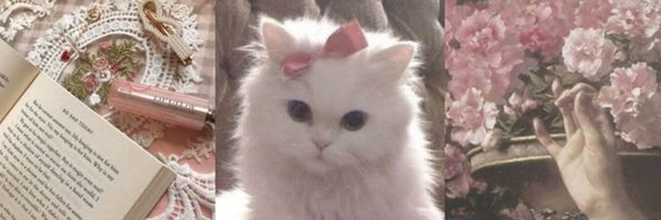 AuroraIil Profile Banner