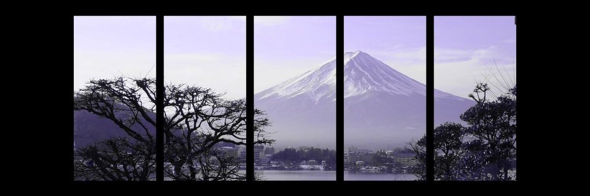 faliquish 🫎 banner