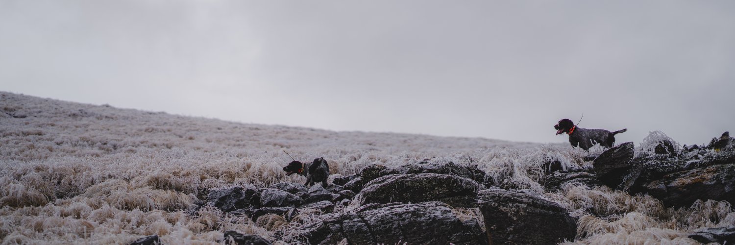 Matt Hardinge banner