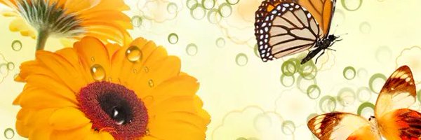 Delight_bae Profile Banner