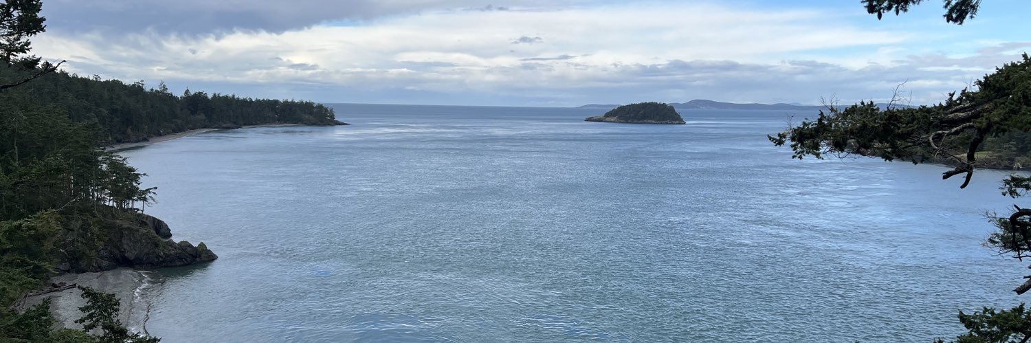 Viking Sin Eater banner