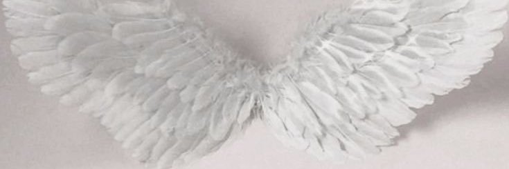 ossosd0oficio's profile banner image