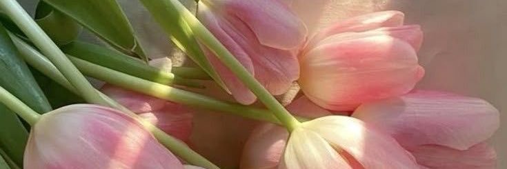 𝑆𝐾🇲🇦 banner