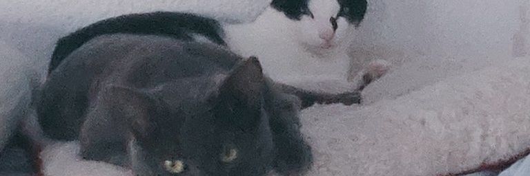 alfdezdiaz's profile banner image