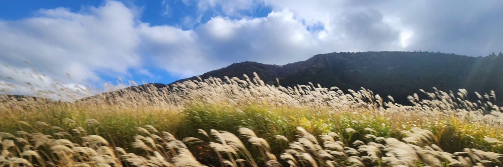 İrep Kebelioğlu banner