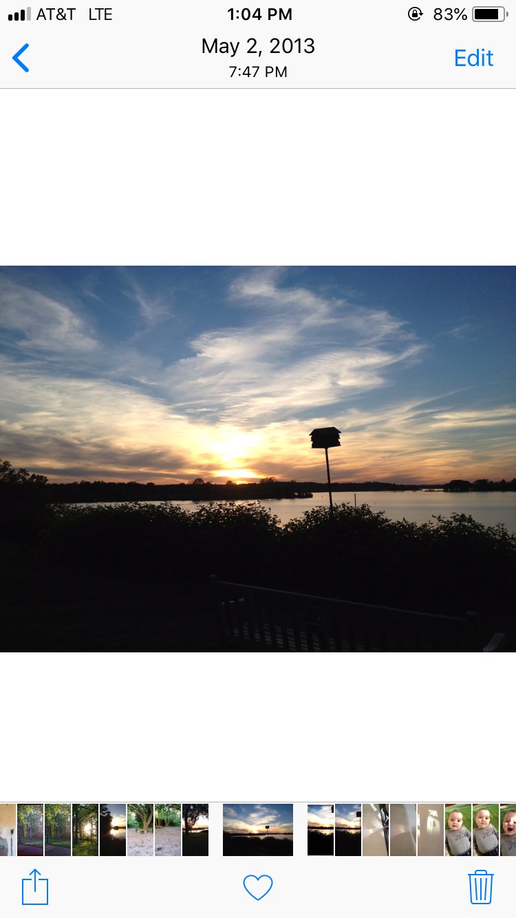 Elizabeth Botten banner