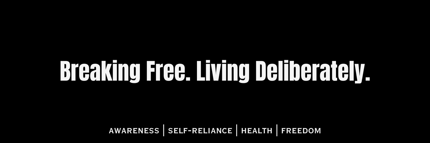 David Meszaros banner