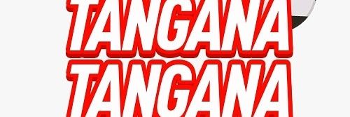 TTangana's profile banner image