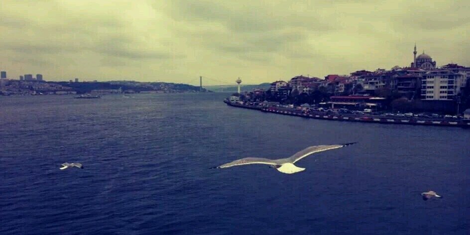 halime_torun's profile banner image