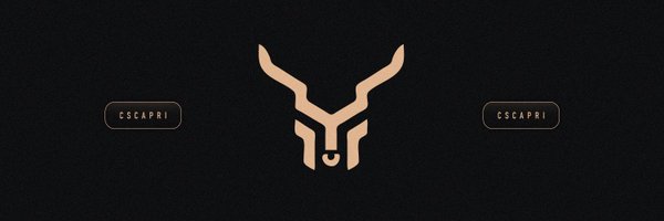 CsCapriDK Profile Banner