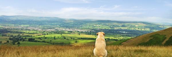 Craftyclaret Profile Banner