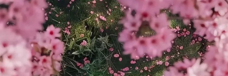 Chidjan's profile banner image