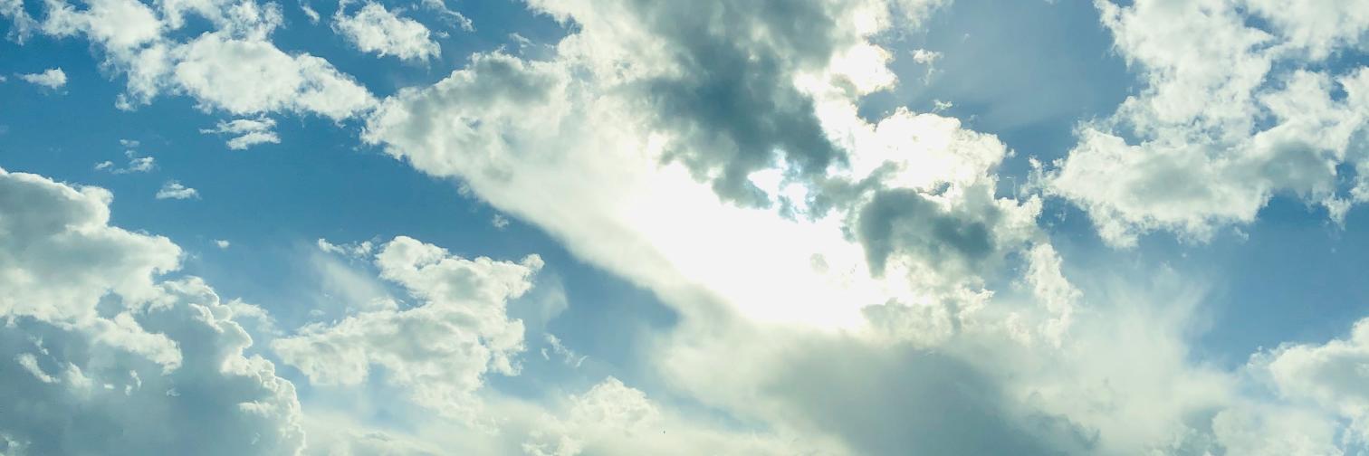 melissacodes's profile banner image