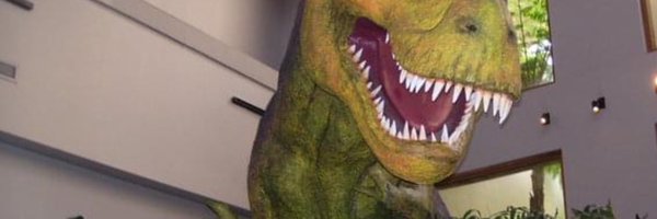 LaurieMul1 Profile Banner