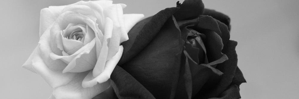 HeyKateCreate's profile banner image