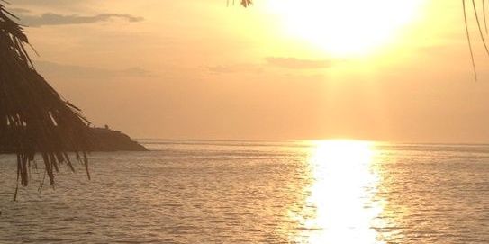 alexander2602's profile banner image