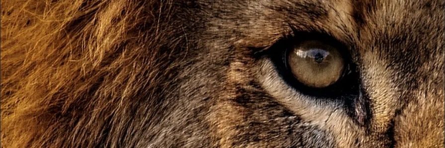 bionxxx's profile banner image