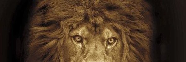 RRecuit36432 Profile Banner