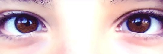 puppy dan howell #1 fan banner