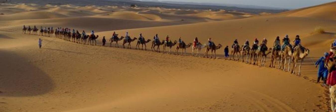 mohadeldesierto's profile banner image