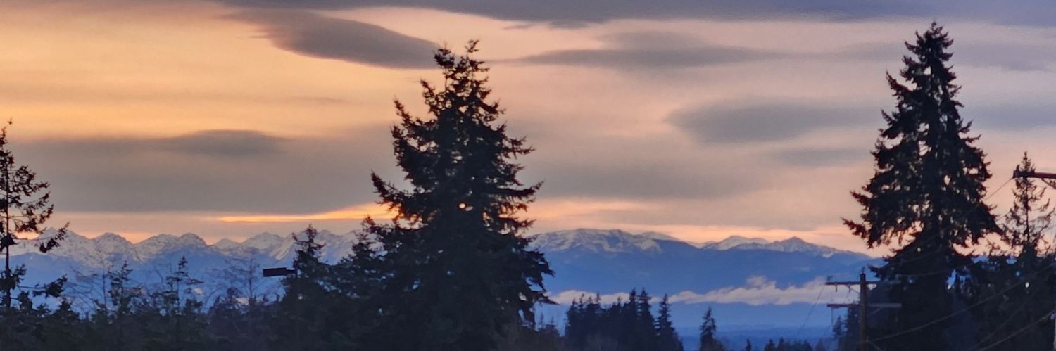 BlueKnight1755 banner