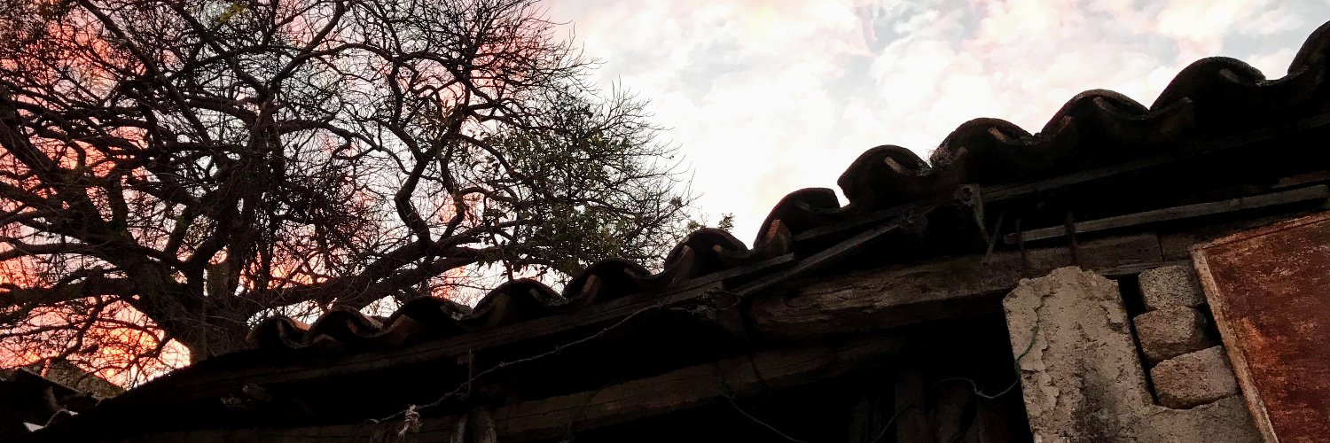 el_patote's profile banner image