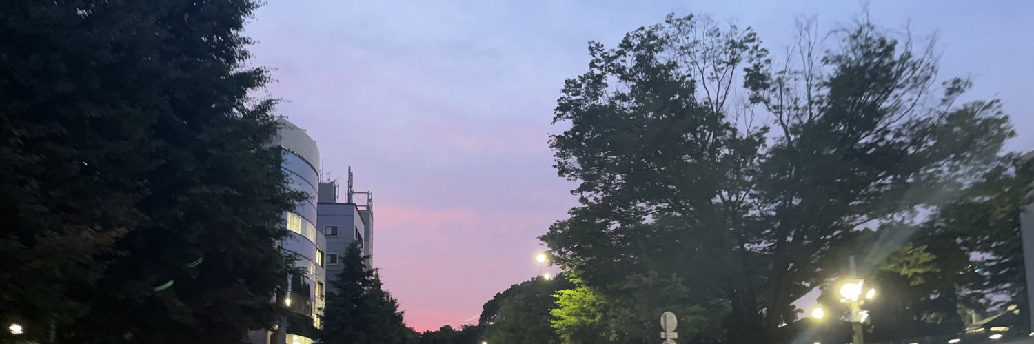 BAOBAB MC ™ banner