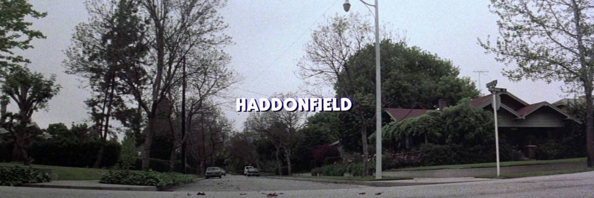 PineDani19's profile banner image