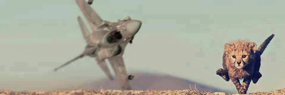 UgurCelikbas's profile banner image
