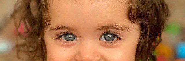 Johnson Samson banner