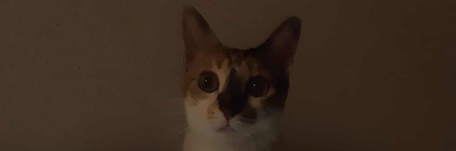 anaisdidi's profile banner image