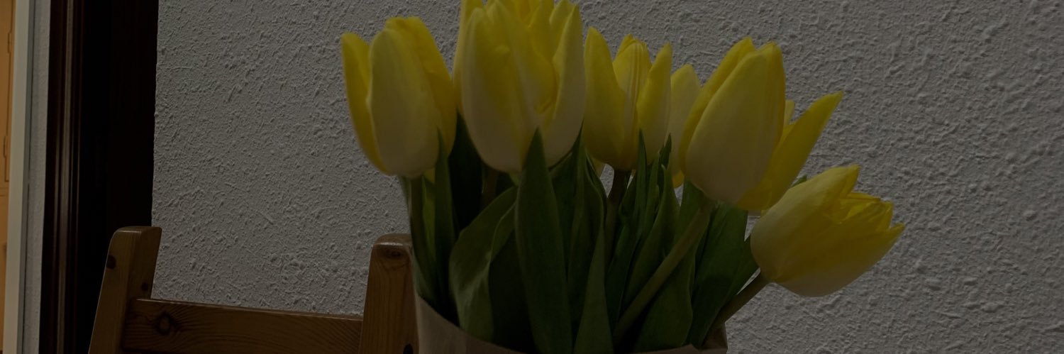 JuditMedi's profile banner image