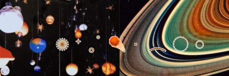 transposlitwt's profile banner image