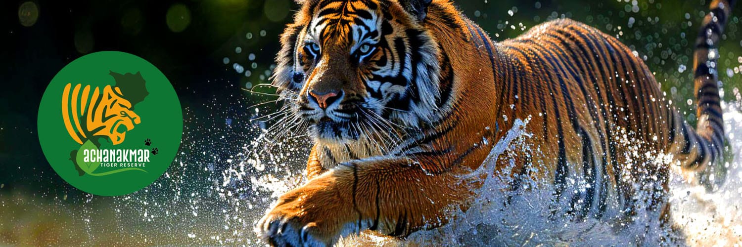 AchanakmarTiger's profile banner image