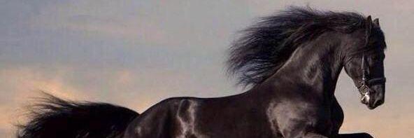 saud7b's profile banner image