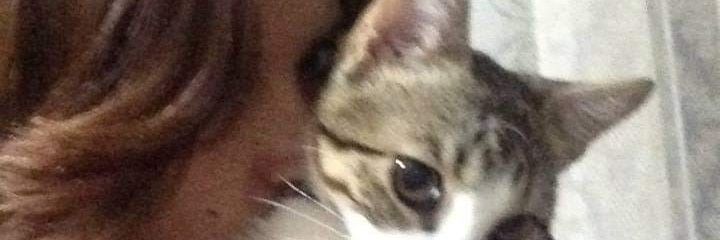 semra_serpil's profile banner image