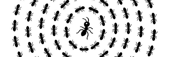 ANTZcryptoco Profile Banner