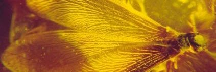 marona44's profile banner image