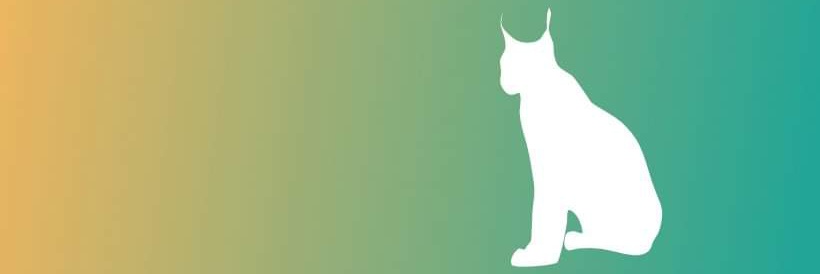 lincediseta's profile banner image