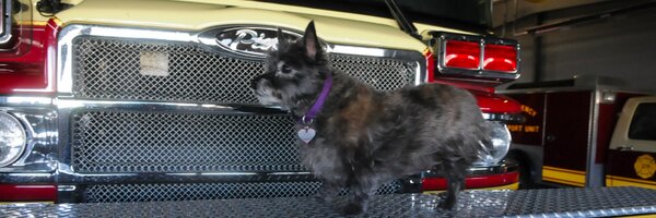jackhaley42 Profile Banner