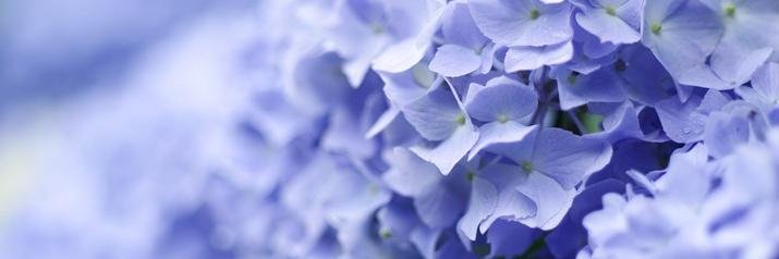 tmfox_13's profile banner image