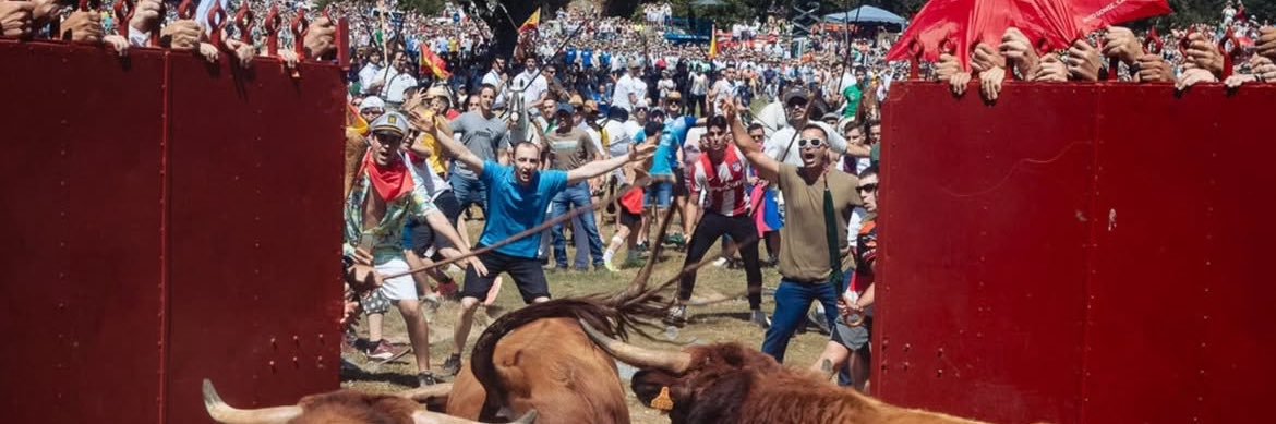 Torrenillo🥓 banner