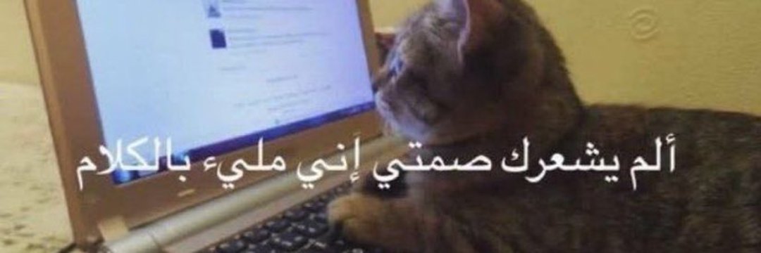 Mohammad Alayash banner