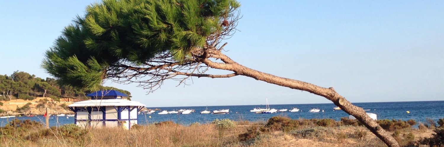 matasjaume's profile banner image