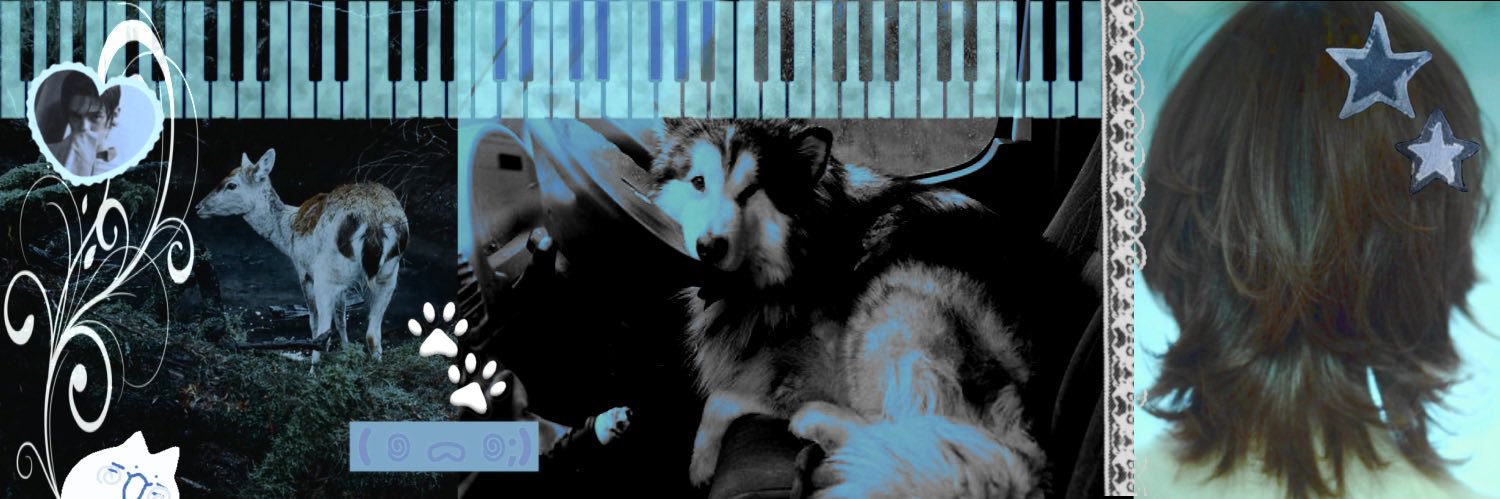 ᡕᠵデᡁ᠊╾━ Stein banner