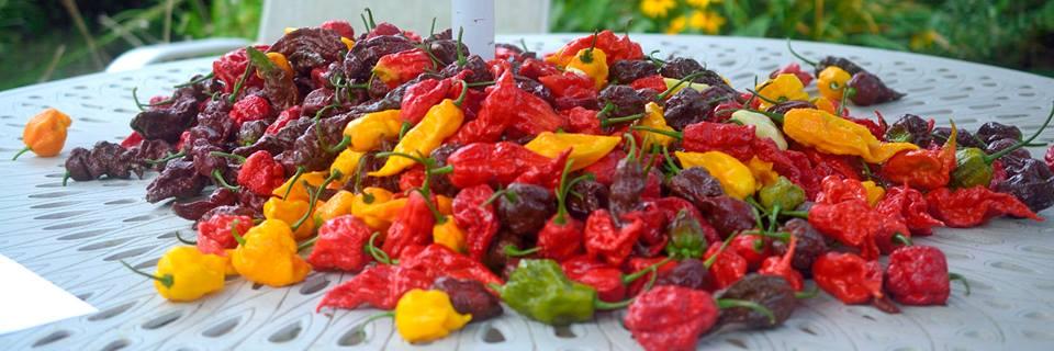 FirehouseChilli's profile banner image